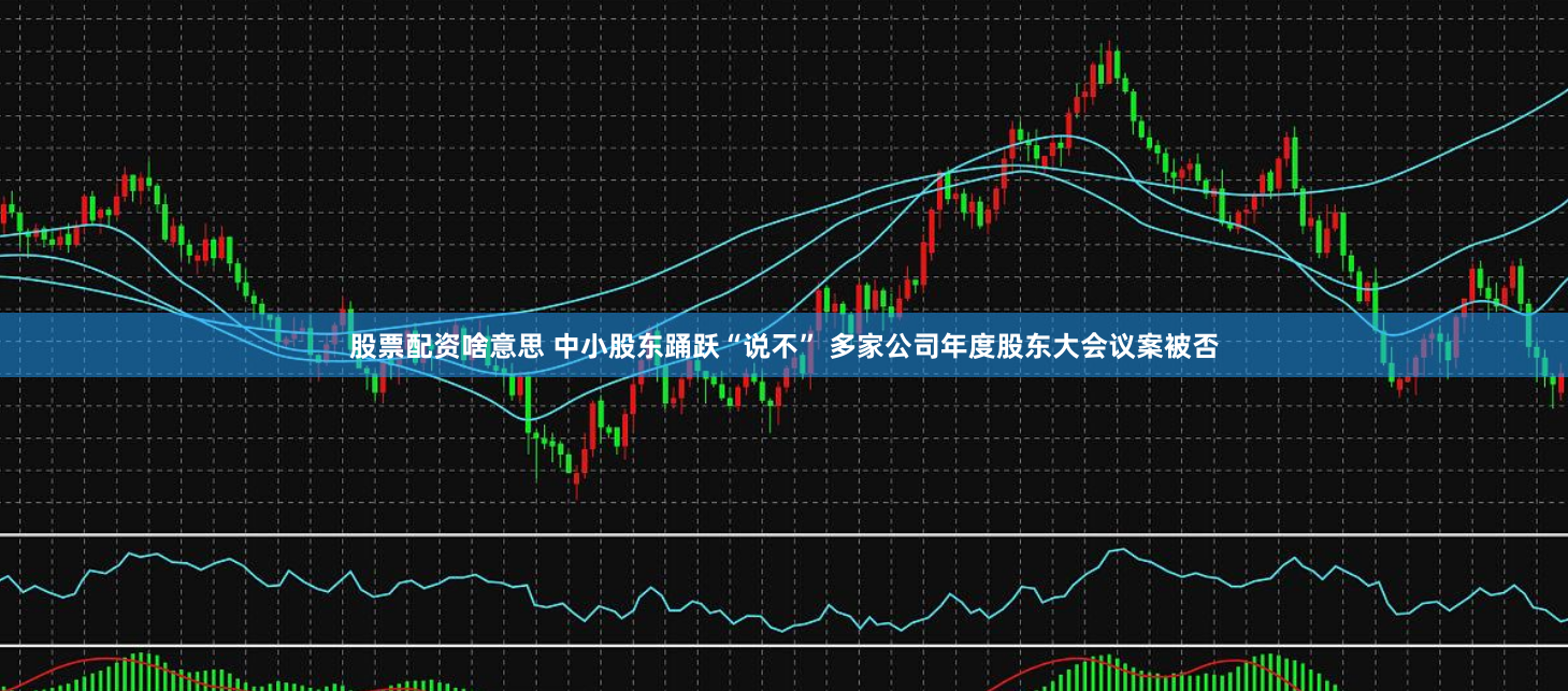 股票配资啥意思 中小股东踊跃“说不” 多家公司年度股东大会议案被否